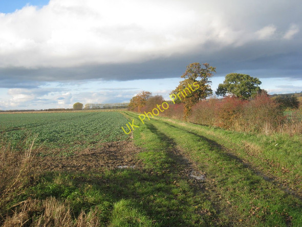 Photo 6"x4" View over Elsham Carr Worlaby\/TA0113 c2010