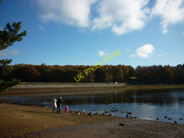 Photo 6"x4" A day out at Swinsty Reservoir Bland Hill c2010