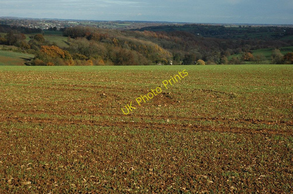 Photo 6"x4" View towards Kingscote Wood Kingscote\/ST8196 c2010