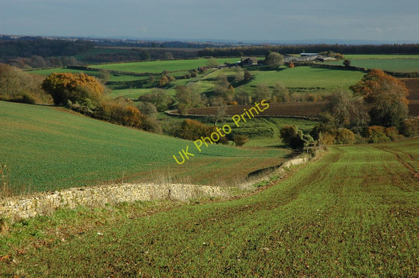 Photo 6"x4" View to Hill Barn Bencombe c2010