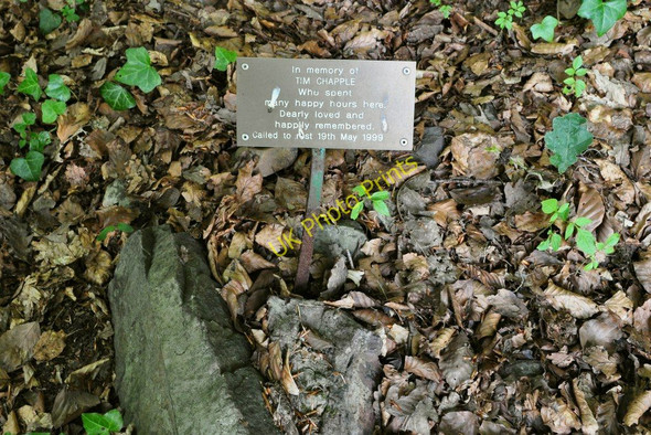 Photo 6"x4" A memorial plaque in Chapel Woods Bradwell\/SS4942 c2010