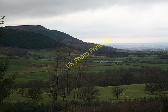 Photo 6"x4" Clay Bank Urra c2007