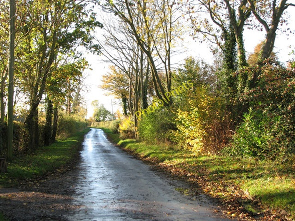 Photo 6"x4" To Darrow Green on Darrow Green Road Misery Corner c2010