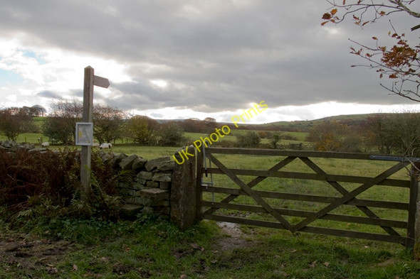 Photo 6"x4" Footpath to River Roeburn Wray c2010