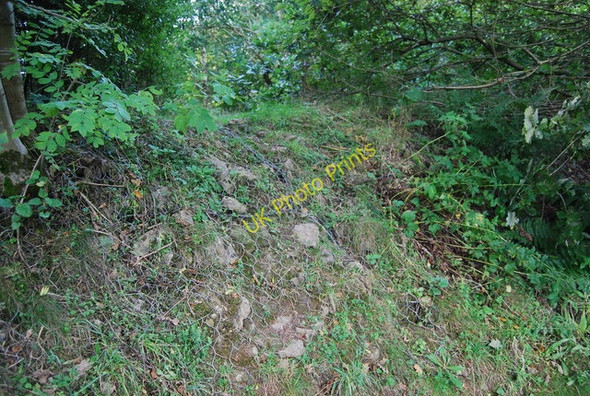 Photo 6"x4" Gabion boxes Barden Park c2010