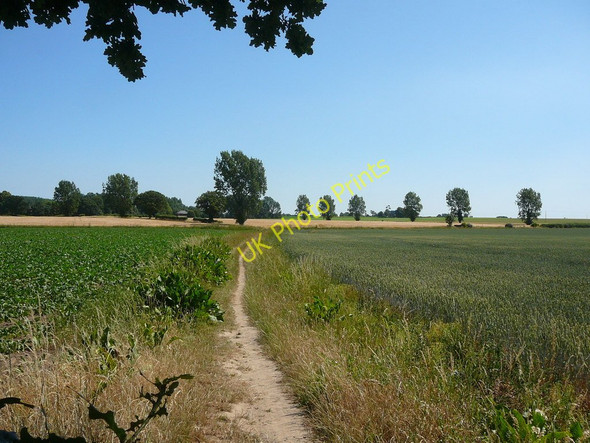 Photo 6"x4" Footpath running south from Upton to Acle Upton\/TG3912 c2010