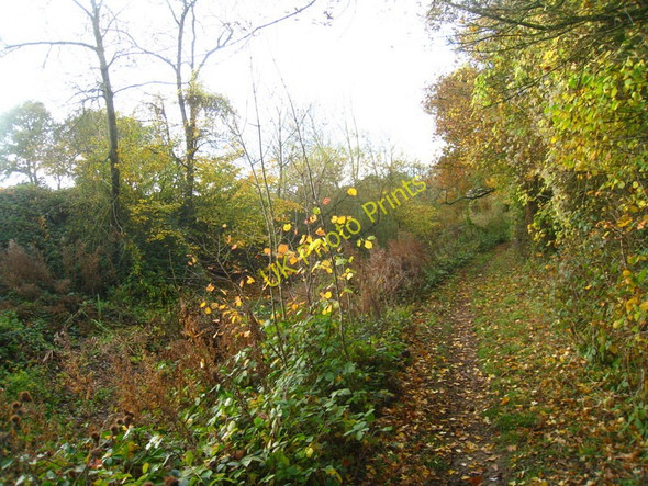 Photo 6"x4" Remains of the Basingstoke canal Andwell c2010