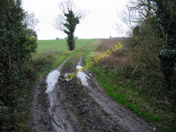 Photo 6"x4" Bridleway from Little Knell Farm Cop Street c2008