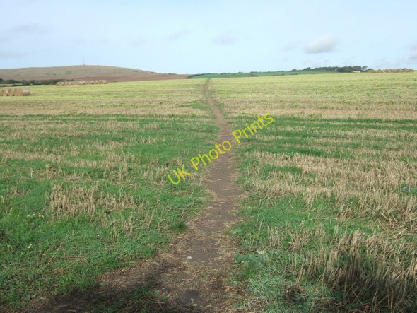 Photo 6"x4" The Cripple Path, towards Niton Kingates c2010
