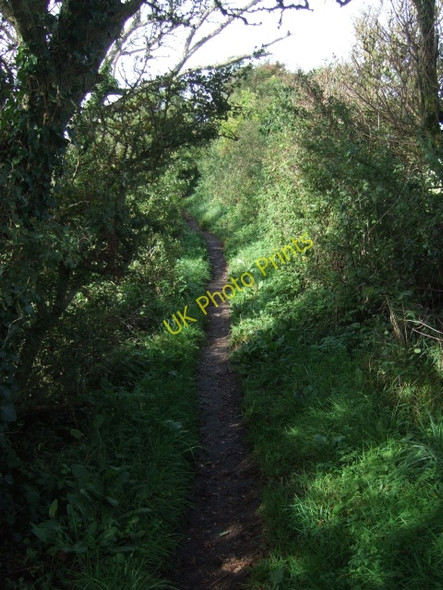 Photo 6"x4" Coastal footpath near Niton Kingates c2010