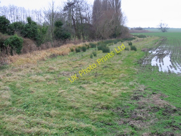 Photo 6"x4" Field margin near Little Knell Farm Cop Street c2008