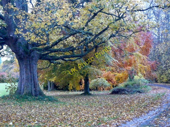 Photo 6"x4" Near Allan House Loandhu c2010