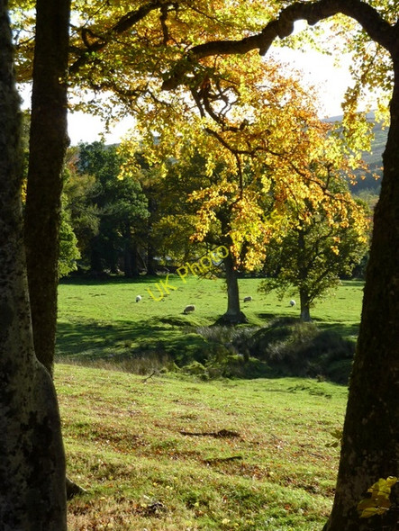 Photo 6"x4" Autumn scene near Gruinards Wester Gruinards c2010