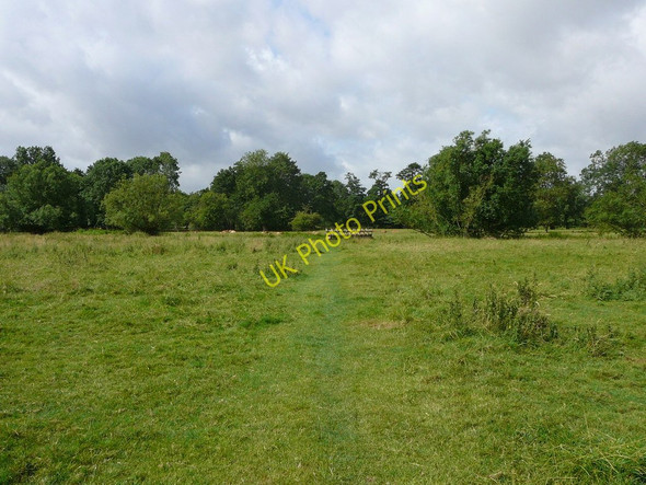Photo 6"x4" On the Angles Way, north of Weybread House Harleston\/TM2483 c2010