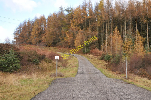 Photo 6"x4" Military road near Garelochhead Faslane Port c2010