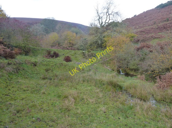 Photo 6"x4" Bridleway crosses the upper Coley Brook Hope Bowdler c2010