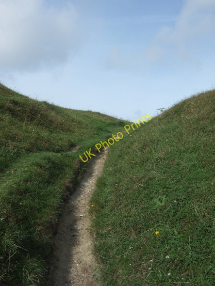 Photo 6"x4" St Rhadegund's Path St Lawrence\/SZ5376 c2010