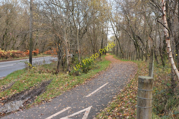 Photo 6"x4" Cycle path near Helensburgh Craigendoran c2010