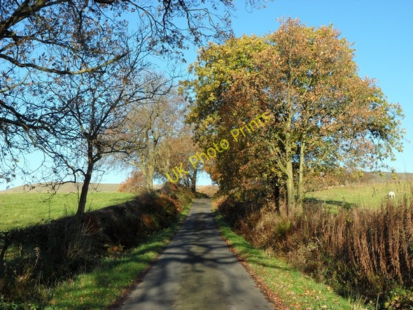Photo 6"x4" Whin Loan Queenzieburn c2010