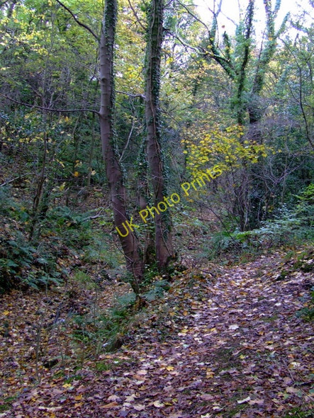 Photo 6"x4" The Glen at Glen Avenue Gourock c2010