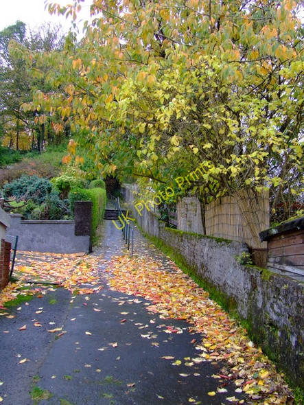 Photo 6"x4" Footpath to Glen Avenue Gourock c2010