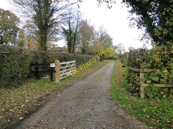 Photo 6"x4" Entrance to Topcroft Lodge Topcroft Street c2010