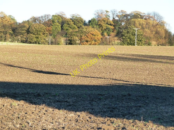 Photo 6"x4" Long Plantation from Purston Lane Featherstone\/SE4220 c2010