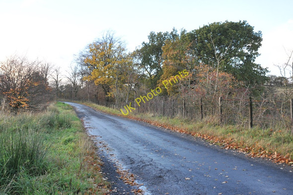 Photo 6"x4" Minor road to Lennox Forest Lennoxtown c2010