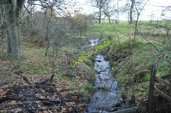 Photo 6"x4" Small stream near Muirhead Farm Lennoxtown c2010