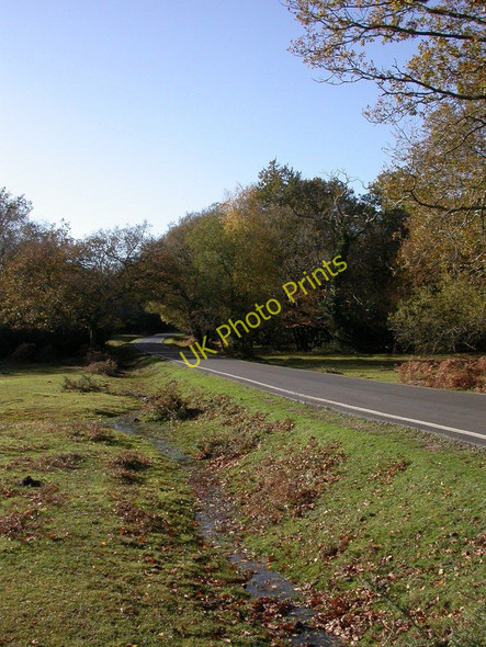 Photo 6"x4" Hazel Hill, country road London Minstead c2010