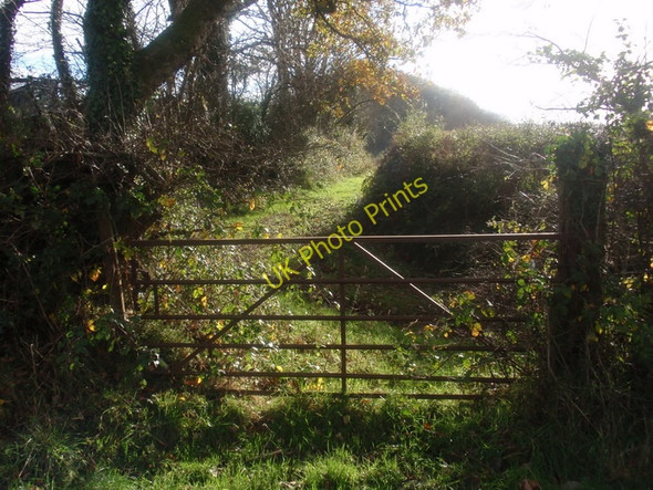 Photo 6"x4" Llwybr Bryngwelltyn \/ Bryngwelltyn footpath Cwmfelin Boeth c2010