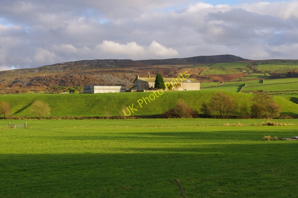 Photo 6"x4" Greenlot near Quernmore Quernmore c2010