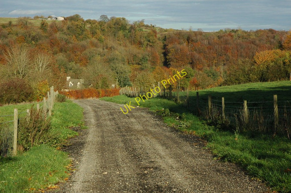 Photo 6"x4" Track approaching Lower Lutheridge Farm Nailsworth c2010