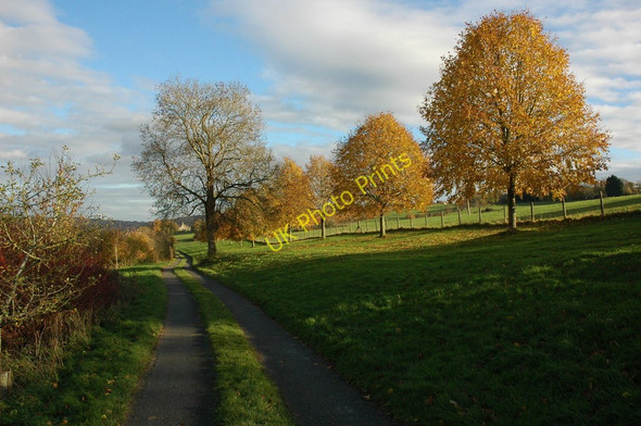Photo 6"x4" Tree-lined track Nailsworth c2010