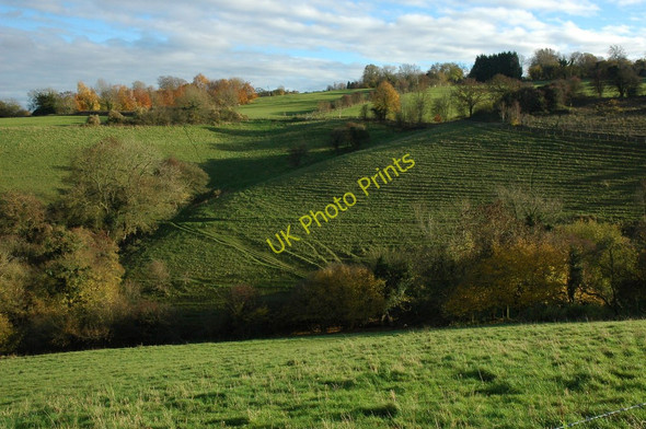 Photo 6"x4" Hillside above Nailsworth Nailsworth c2010