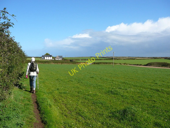 Photo 6"x4" Footpath north of Marloes Marloes c2010