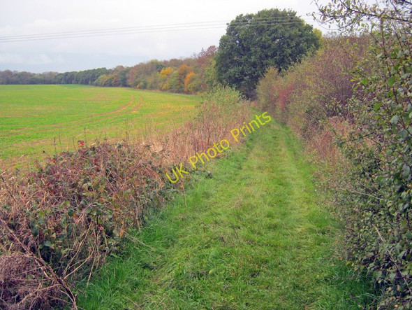Photo 6"x4" Pathway to Duke's Wood Belle Eau Park c2010
