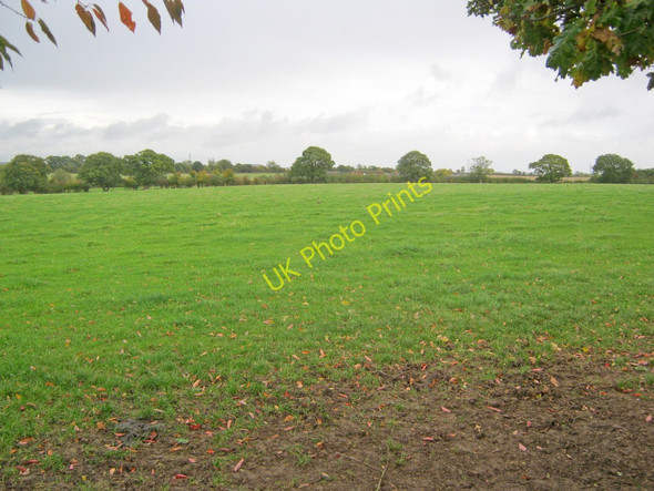 Photo 6"x4" Meadow near Dilliner Wood Farm Maplebeck c2010