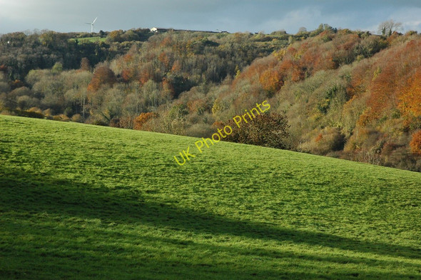 Photo 6"x4" View to High Wood Nailsworth c2010