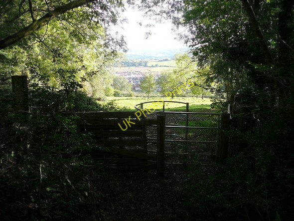Photo 6"x4" Kissing gate at edge of George's Hill Plantation. Cambridge Batch c2010