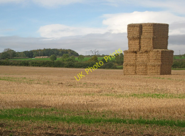 Photo 6"x4" Straw bales near Roe Wood Maplebeck c2010