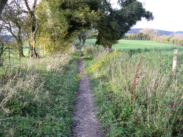 Photo 6"x4" South Downs Way towards Coombe Cross Coombe\/SU6620 c2010