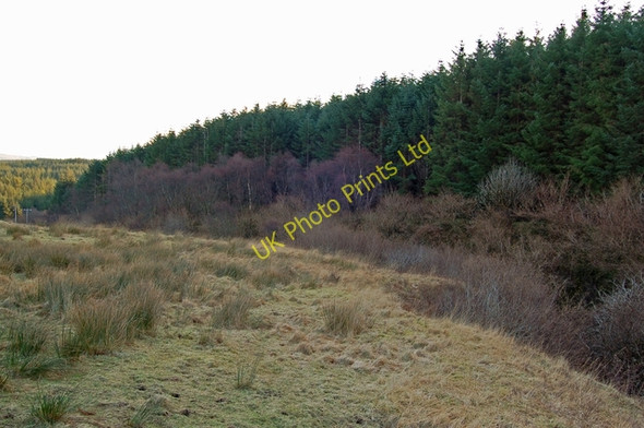 Photo 6"x4" Gorge of the Allt Garbh Glen Bernisdale c2008
