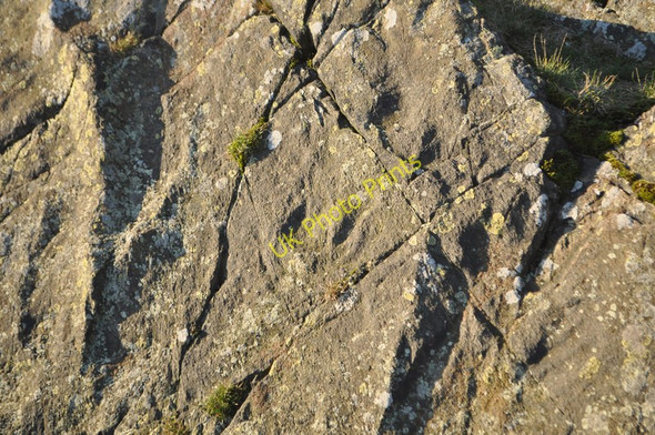 Photo 6"x4" Bradgate Park Newtown Linford\/SK5110 c2010