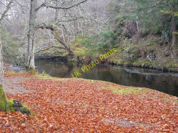 Photo 6"x4" Carpet of leaves by Ironrock Pool Cnoc Ruadh c2010