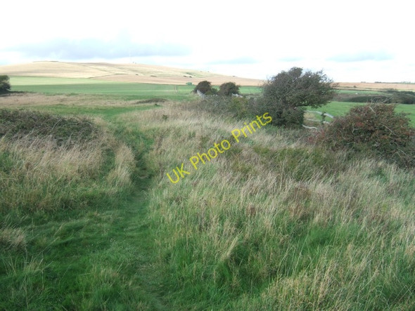 Photo 6"x4" Footpath on West Cliff Blackgang c2010
