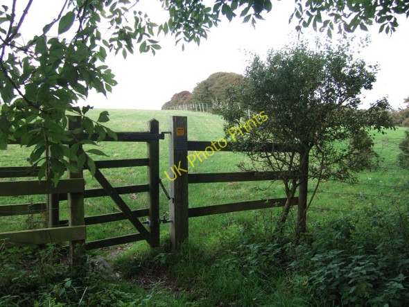 Photo 6"x4" Footpath leading to A3055 Niton c2010