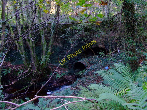 Photo 6"x4" Old bridge Wemyss Bay\/NS1969 c2010 P1