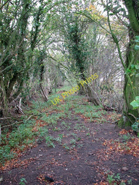 Photo 6"x4" The old path to Shelfanger Shelfanger c2010
