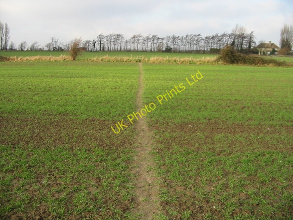 Photo 6"x4" Looking NW along the Stour Valley Walk Sandwich c2008